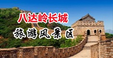 日韩妞屄干网中国北京-八达岭长城旅游风景区